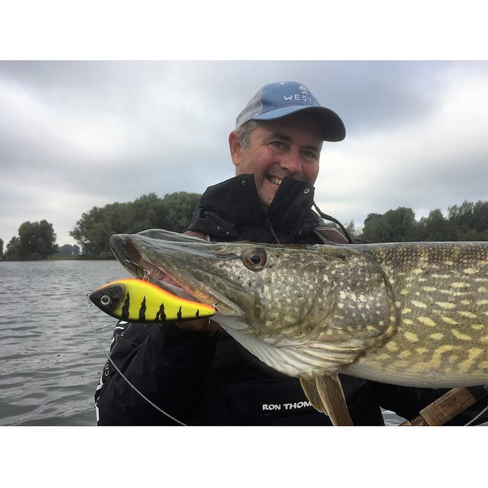 Westin Swim Suspending 12cm 53g Blueback Herrin