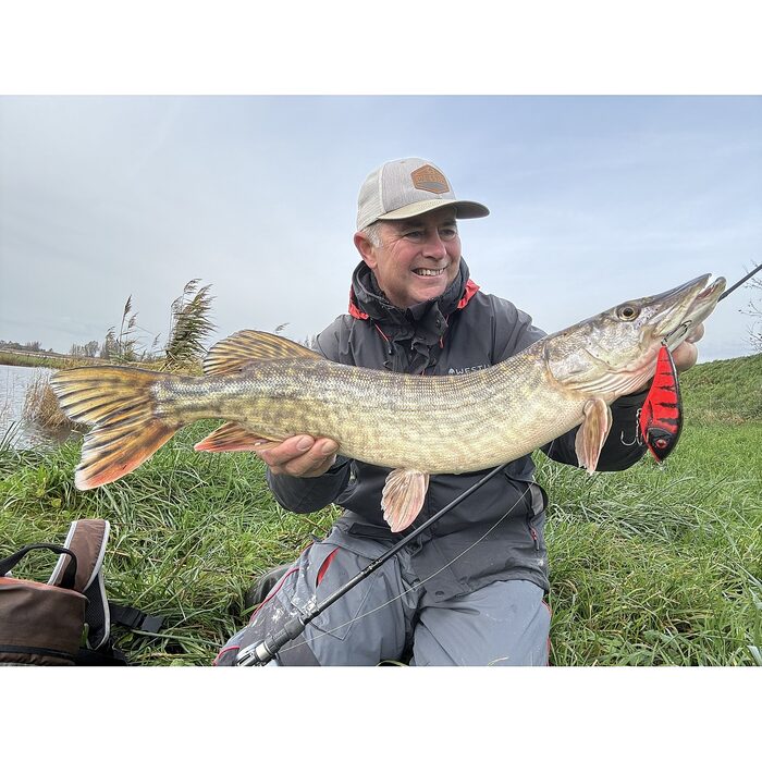 Westin Swim Suspending 12cm 53g Blueback Herrin