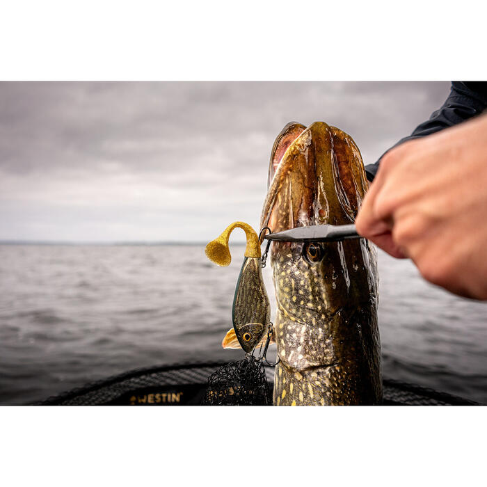 Westin Swim Tail 12cm 62gr Suspending Real Roach