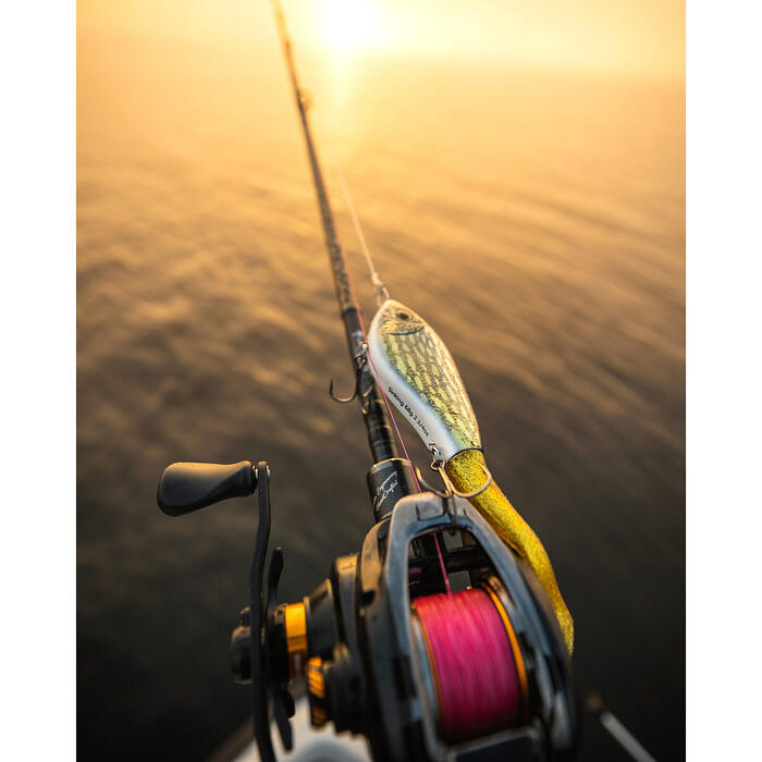 Westin Swim Tail 12cm 62gr Suspending Real Roach