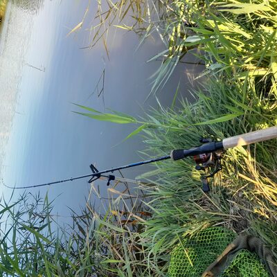 Foto van de Kinetic Scorpius Feeder CL