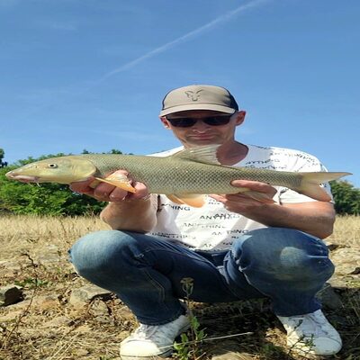 Foto van de Wild River Barbel Groundbait