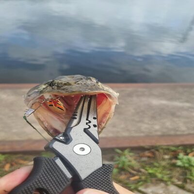 Foto van de Ondex Spinner