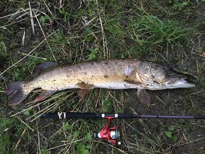 Foto van de Abu Garcia Fast Attack