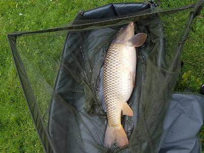 Foto van de PB Products Sinking Rig Tube
