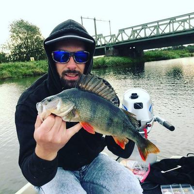 Foto van de Salmo Rattlin Hornet