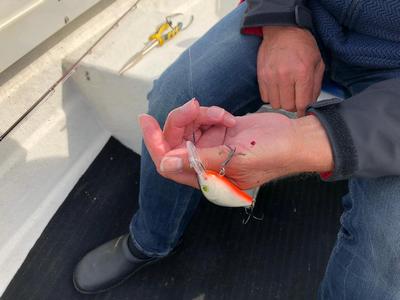 Foto van de Salmo Rattlin Hornet