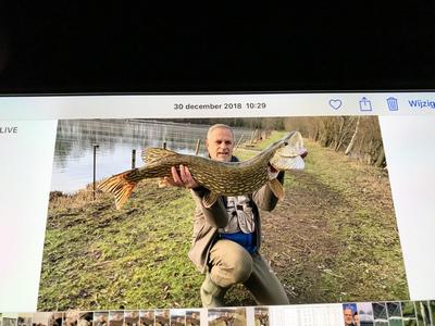 Foto van de Abu Garcia Jointed Tormentor