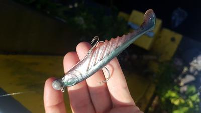 Foto van de Spro Braided Zander Stinger