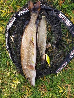 Foto van de Salmo Executor Shallow Runner