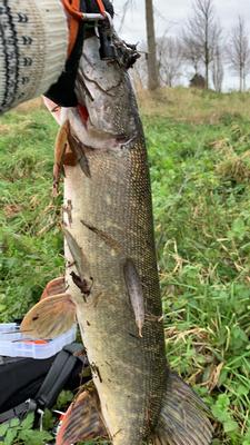 Foto van de Salmo Pike Jointed