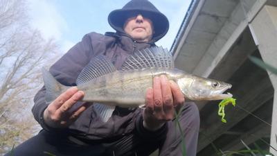 Foto van de Fox Rage Critters Mixed Colour