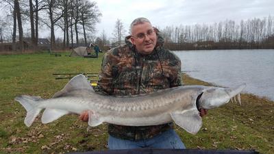 Foto van de Berkley Trilene Big Game Green