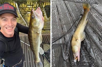 Anne heeft deze foto meegestuurd Foto van de Salmo Hornet