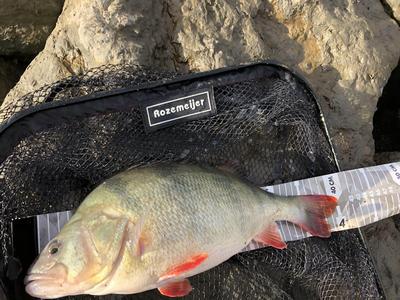 Foto van de Rozemeijer Inner City Landings net