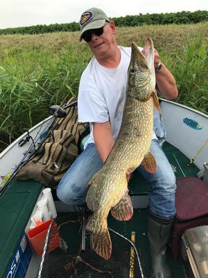 Foto van de Salmo Hornet