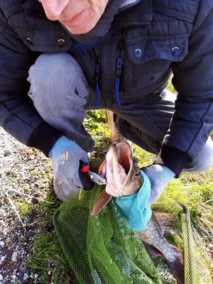 Foto van de Spinset Pro