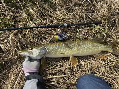 Foto van de Fox Rage Pro Shad Jointed Loaded