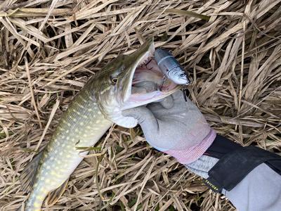 Foto van de Savage Gear 4Play V2 Swim & Jerk