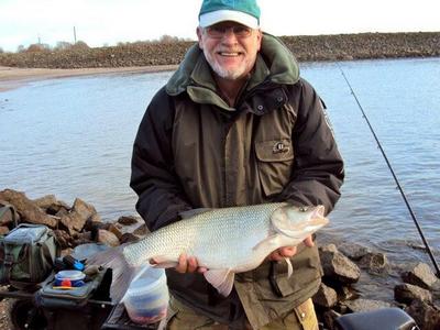 Foto van de Gamakatsu Bkd LS-3620 Allround Strong Comp. Range onderlijn