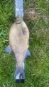 Foto van de Gamakatsu BKS-1100B Bream Competion Range
