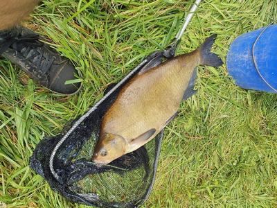 Foto van de Gamakatsu Bream Feeder BKS-1810B