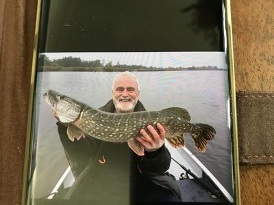 Foto van de Rozemeijer Little Temptation