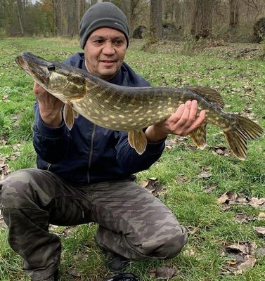 Foto van de Salmo Rattlin Hornet