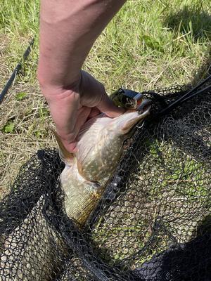 Foto van de Spro FreeStyle Flick Net