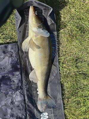 Foto van de Fox Rage Voyager Camo Measure Mat