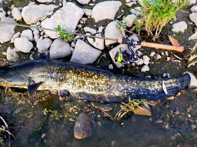 Foto van de Savage Gear 3D Sticklebait Twitch