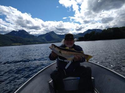 Foto van de Spro Pilk X