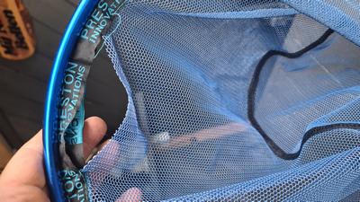 Foto van de Preston Latex Hair Mesh Landing Net