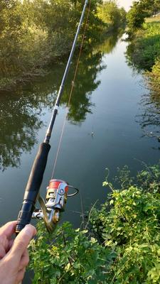 Foto van de Mitchell MX7 Lite Spinning Reel