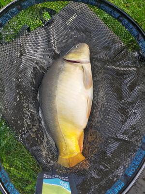 Foto van de Sonubaits Super Crush