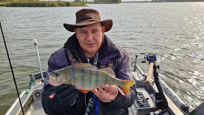 Foto van de Salmo Hornet