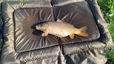 Foto van de Korda Kamakura Wide Gape