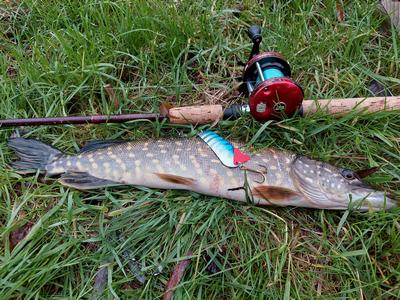 Foto van de Abu Garcia Atom