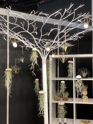 Foto van de Berkley Trilene XL Clear 