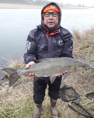 Foto van de Salmo Rattlin Sting