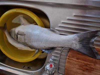 Foto van de Pays Bass JJ Minnow