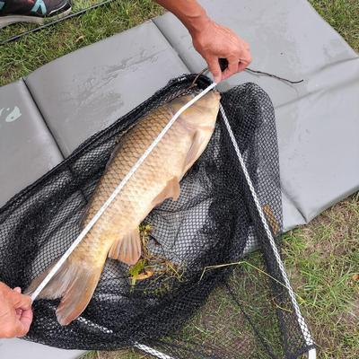 Foto van de Mainline Match Activated Carp Pellets Cell