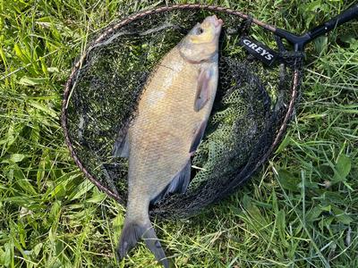 Foto van de Gamakatsu BKS LS-2210R Brasem Feeder Onderlijn