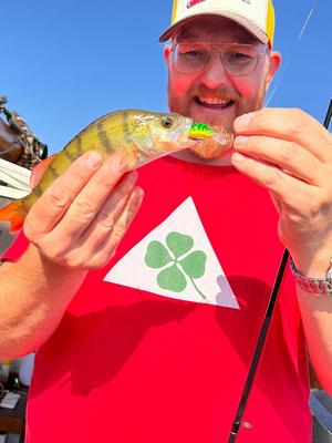 Foto van de Salmo Rattlin Hornet