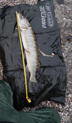 Foto van de Gamakatsu Hyper EZ-Snap H-Swivel