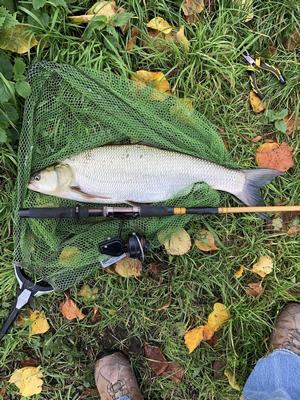 Foto van de Salmo Thrill