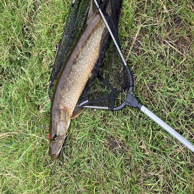 Foto van de Predox Rubber Coated Landingsnet