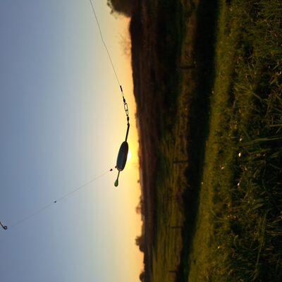 Foto van de Spro 3 Kraft