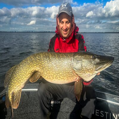 Foto van de Westin Ricky The Roach Inline