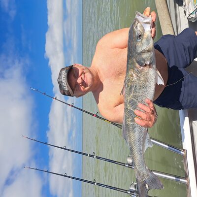 Foto van de Berkley Trilene XL Clear